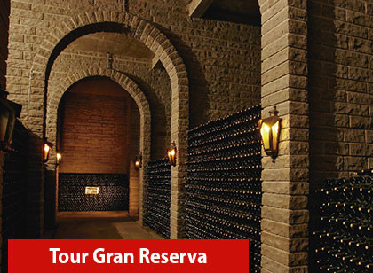 Tour Gran Reserva - Vale dos Vinhedos